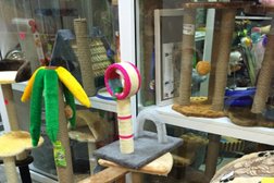 Торговый дом Абсолют-2, с рейтингом 2 - находится по адресу Караганда, Бухар-Жырау проспект, 55/6 