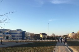 Спортивный комплекс Дельфин, с рейтингом 5 - находится по адресу Белгородская область, Шебекино, улица Ленина, 69 