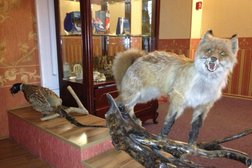 Гостиница Ренессанс, с рейтингом 3.8 - находится по адресу Владивосток, улица Суханова, 3Б 