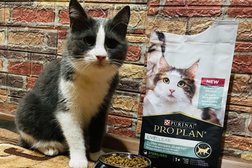 Ветеринарная клиника Зооцентр, с рейтингом 2.3 - находится по адресу Пермь, улица Александра Щербакова, 25 