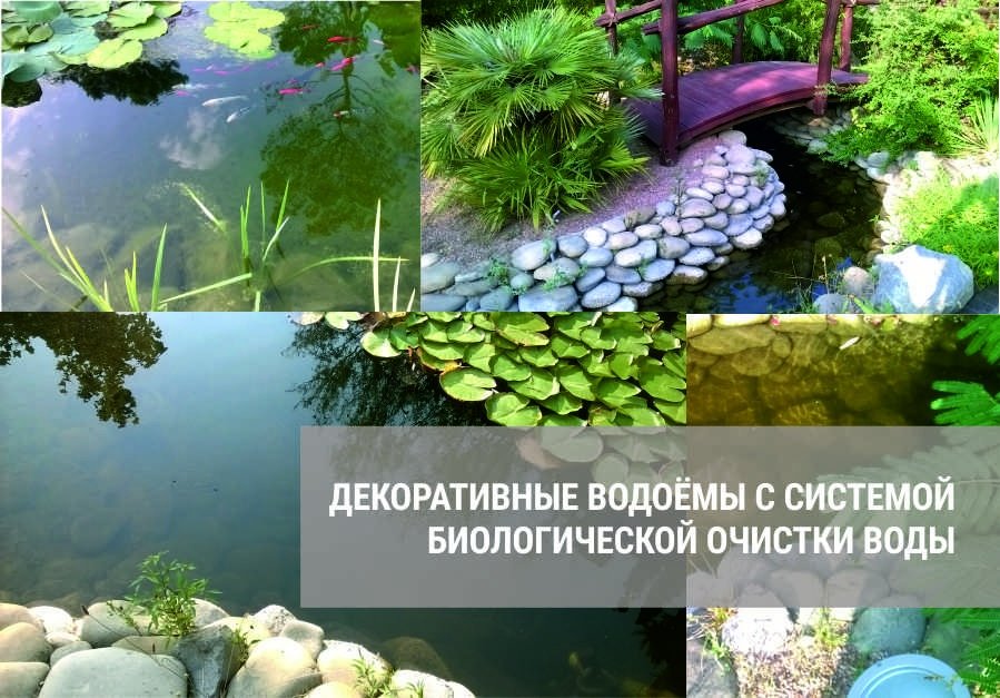 фотография Торговой компании H2O на Залесской улице