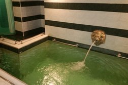 Сауна на Беломорском, с рейтингом 3.1 - находится по адресу Ростов-на-Дону, Беломорский переулок, 20ж 