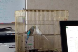 Компания по сопровождению в торгах РусТендер, с рейтингом 4.2 - находится по адресу Воронеж, улица Ленина, 73 