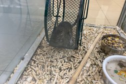 Зоомагазин Сами с усами, с рейтингом 3.3 - находится по адресу Москва, Ходынский бульвар, 4 