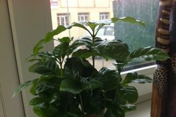 Столовая Съем слона, с рейтингом 5 - находится по адресу Красноярск, улица Академика Вавилова, 1 ст51 