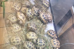 Офис Какаду, с рейтингом 3 - находится по адресу Калининград, улица Дзержинского, 39а 