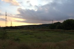 Юго-Западное кладбище, с рейтингом 1.5 - находится по адресу Воронеж, улица 9 Января, 217В/2 