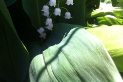 Продуктовый магазин Азовский хлеб, с рейтингом 3 - находится по адресу Ростовская область, Азов, улица Дружбы, 22 