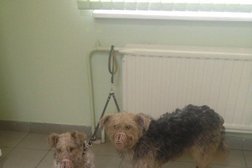 Сбер, с рейтингом 5 - находится по адресу Санкт-Петербург, Ленинский проспект, 160 