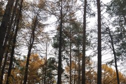 Веревочный парк развлечений Гамми, с рейтингом 3.8 - находится по адресу Республика Башкортостан, Уфа, Менделеева, 160/5а 