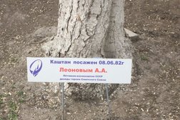 Бизнес-центр Орбита, с рейтингом 5 - находится по адресу Ростовская область, Новочеркасск, Михайловская улица, 164а к2 