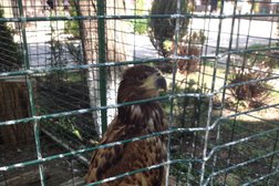 База отдыха Лесная сказка, с рейтингом 2.9 - находится по адресу Краснодар, Южная улица, 95 