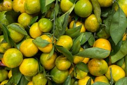 Гипермаркет Глобус, с рейтингом 3.9 - находится по адресу Москва, Киевское шоссе 23 километр, ст1 