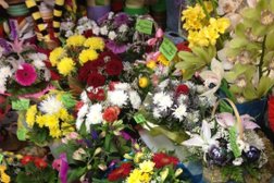 Сервисный центр Чиним все, с рейтингом 2.5 - находится по адресу Череповец, проспект Победы, 95 