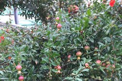 Учебно-опытное хозяйство Уфимский лимонарий, с рейтингом 3.9 - находится по адресу Республика Башкортостан, Уфа, улица Менделеева, 152/2 