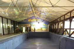 Водно-оздоровительный комплекс Мадагаскар, с рейтингом 2.8 - находится по адресу Челябинская область, Копейск, Озёрная улица, 5/9 