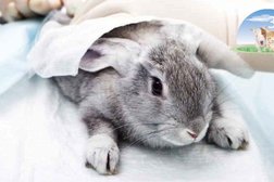 Зоовет-Урал, с рейтингом 3.4 - находится по адресу Екатеринбург, улица Красных Командиров, 32 