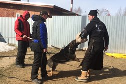 Спортивно-кинологический центр Олькар, с рейтингом 4.1 - находится по адресу Ярославская область, д. Бегоулево, Московское шоссе 9 километр, 4 