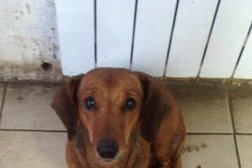 Супермаркет Магнит, с рейтингом 4.6 - находится по адресу Калужская область, Обнинск, проспект Маркса, 71 