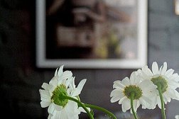 Салон парфюмерии Скромное обаяние, с рейтингом 4 - находится по адресу Рязань, улица Циолковского, 7 