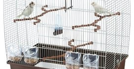 Зоомагазин Зоооптторг находится по адресу Алматы, Алматы, ул Ауэзова, д 69