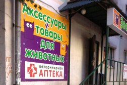 Магазин товаров для животных ЗооМир, с рейтингом 5 - находится по адресу Владимир, улица Полины Осипенко, 17 