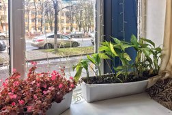 Кафе Манилов, с рейтингом 4.3 - находится по адресу Ярославль, Большая Октябрьская улица, 39/2 