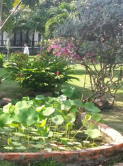 Инструктор по йоге Екатерина Федоровна Сиротинина