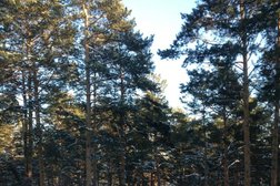 Парк-отель Грааль, с рейтингом 3.3 - находится по адресу Кемеровская область — Кузбасс, д. Журавлево, Боровая улица, 2 