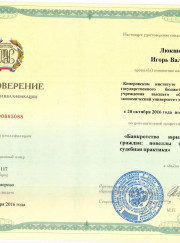 Адвокат, юрист Игорь Валерьевич Люкшонков