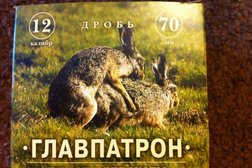 Охота и оружие