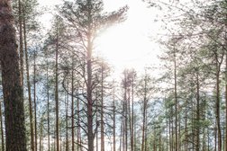 Парк-отель Лента, с рейтингом 4 - находится по адресу Чебоксары, Заволжье 