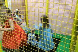 Компания по организации праздников Little loft party, с рейтингом 3.6 - находится по адресу Москва, пос. Коммунарка, улица Александры Монаховой, 94 к2 