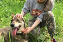 Приют для бездомных животных Печатники Петс, с рейтингом 3.1 - находится по адресу Москва, Проектируемый 5112-й проезд, 1-3 