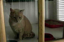 Ветеринарная клиника Зооветцентр, с рейтингом 1.8 - находится по адресу Москва, Московская Кольцевая Автомобильная дорога, 104 