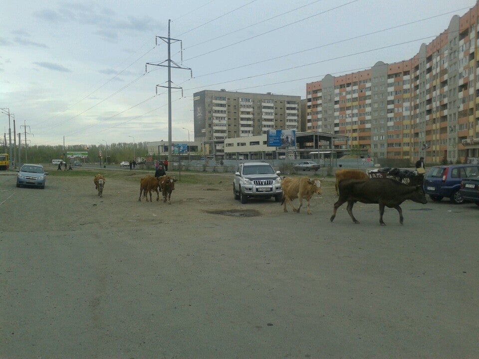 фотография Автомойки Auto-city