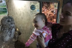 Старая экспозиция Тульский областной экзотариум, с рейтингом 3.3 - находится по адресу Тула, Октябрьская улица, 26 