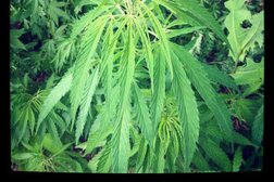 Производственно-складская база Адл, с рейтингом 4 - находится по адресу Московская область, Лыткарино, промышленная зона Тураево, ст25 