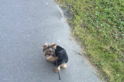 Зоомагазин Филя, с рейтингом 3.7 - находится по адресу Санкт-Петербург, улица Карташихина, 10 