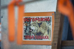 Аэроклуб Паралет, с рейтингом 3.4 - находится по адресу Московская область, Батюшково село, 37а 