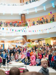 Организатор мероприятий феерия Мыльная