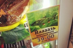 Супермаркет Пив&Ко, с рейтингом 4.3 - находится по адресу Екатеринбург, Пехотинцев, 5 