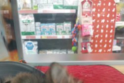 Зоомагазин Четыре лапы, с рейтингом 5 - находится по адресу Московская область, Видное, Солнечный микрорайон, 10 