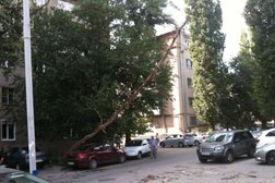 Оsnova-Dental.Clinic, с рейтингом 4.9 - находится по адресу Ростов-на-Дону, Чехова проспект, 86 