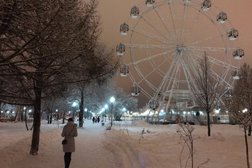 Парк попугаев, с рейтингом 5 - находится по адресу Воронеж, бульвар Победы дублёр, 23Б/8 