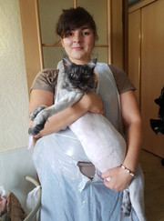 Грумер, зооняня Маргарита А.