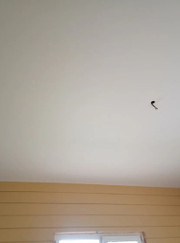 Монтажник потолков, отделочник Евгений Игоревич Кривошеев