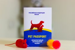 Ветеринарная клиника Акуна Матата, с рейтингом 3.7 - находится по адресу Новосибирск, улица Залесского, 5 