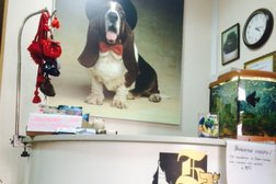 Баскервиль Холл