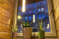 Ресторан с комфорт-фуд от шеф-повара из США Agave, с рейтингом 4.5 - находится по адресу Санкт-Петербург, Социалистическая, 15 
